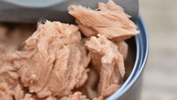 Estas son las mejores marcas de atún enlatado que no contiene soya: Profeco Estas son las mejores marcas de atún enlatado que no contiene soya: Profeco