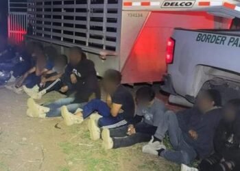 Patrulla Hípica Fronteriza localizó a 16 migrantes en Douglas