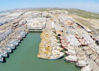 Refuerzan vigilancia durante veda de camarón en el Pacífico mexicano