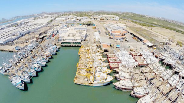 Refuerzan vigilancia durante veda de camarón en el Pacífico mexicano Refuerzan vigilancia durante veda de camarón en el Pacífico mexicano