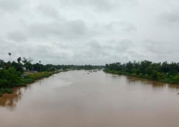 Avistamiento de cocodrilo en río Sinaloa; se extreman precauciones