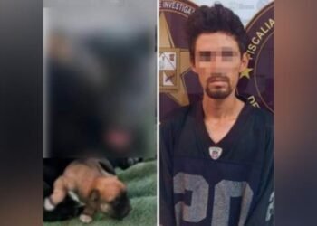 Dan más de 2 años de prisión a hombre que clavó cuchillo en ojo a ‘Negrita’