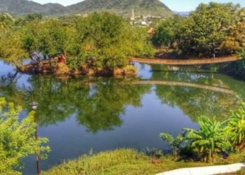 Hallan sin vida a joven de 13 años que se metió a una laguna en Rosario