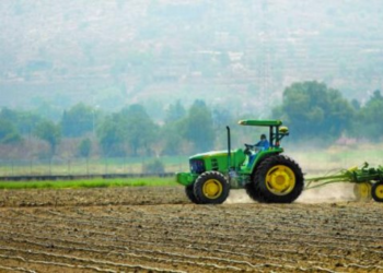 Sequía afectó la producción de cultivos de maíz, trigo y frijol: Inegi