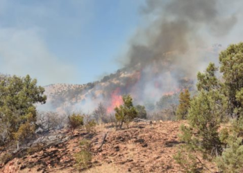 combaten incendio forestal activo en Nácori Chico