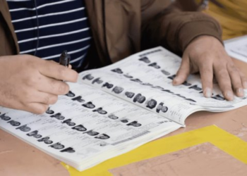 INE invalida registro de connacionales por falsificación