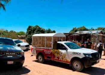 Investigan a menor por presunta responsabilidad en caso de abuso animal