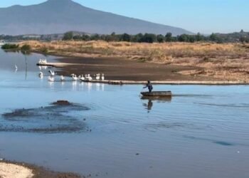 Escasez de agua es consecuencia del saqueo de lagos: UNAM