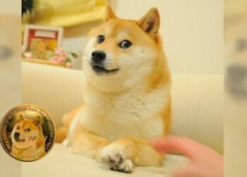 Kabosu, la perrita detrás del meme “Doge” y Dogecoin, nos deja a sus 18 años