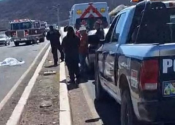 Adulto mayor es atropellado en carretera México 15