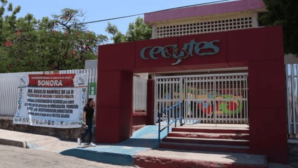 Maestros del Cecytes Sonora logran aumento salarial Maestros del Cecytes Sonora logran aumento salarial