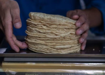 Precio de la tortilla baja por primera vez