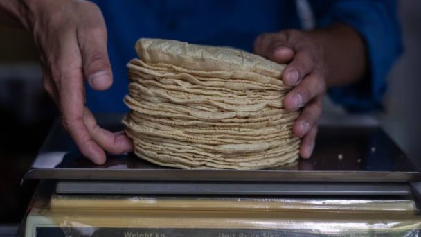 Precio de la tortilla baja por primera vez Precio de la tortilla baja por primera vez