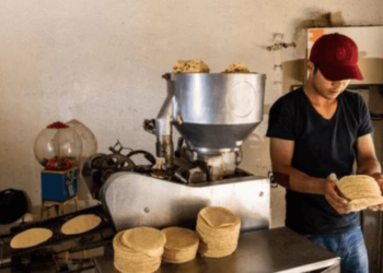 ¿Por qué la tortilla subió de precio?