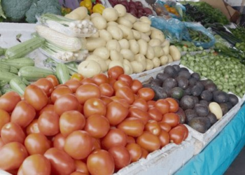 Precio de la canasta básica en Hermosillo baja este semestre