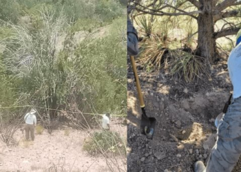 Localizan tres fosas clandestinas con cuerpos en La Comaya