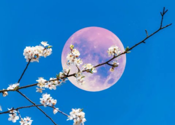 ¿Cómo afecta a mi cuerpo la Luna de Fresa?