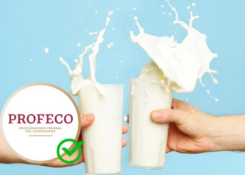 ¿Cuál es la mejor leche en México? Esto dice la Profeco