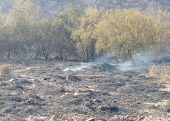 terreno de incendio en El Tular no se usará en 20 años