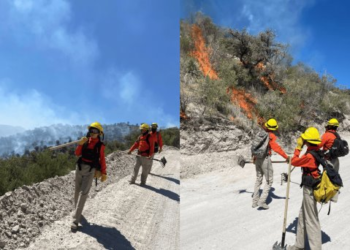 Ímuris: Liquidan incendios forestales