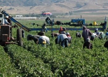 CEPC realiza manual para enfrentar calor extremo