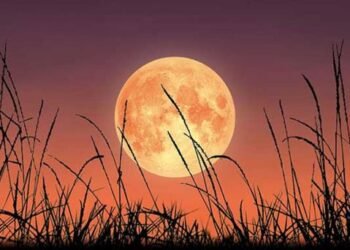 ¿Qué es la Luna de Cosecha?