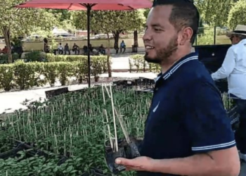 Plantas regaladas en Nogales: plaza Juárez