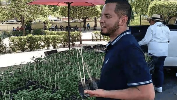 Plantas regaladas en Nogales: plaza Juárez Plantas regaladas en Nogales: plaza Juárez
