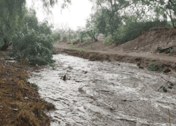 Menor es arrastrado por Río Guanajuato y muere