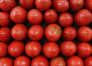 El tomate mexicano ya no requerirá inspección para EU