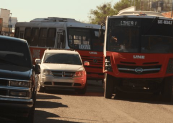 Alertan falta de capacitación de choferes del Transporte