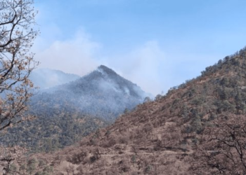 Yécora: Incendio forestal es extinguido