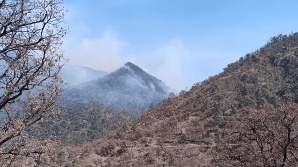 Yécora: Incendio forestal es extinguido Yécora: Incendio forestal es extinguido