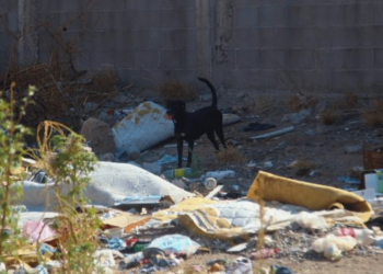 Colonias más sucias de Hermosillo; 10 mil toneladas recogida