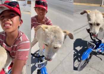 Niño hermosillense viaja 3 horas diario al Cerro del Bachoco