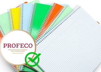 ¿Cuáles son los mejores cuadernos? Esto dice Profeco