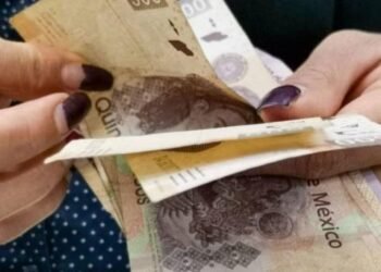 Todo sobre los depósitos en efectivo y el SAT