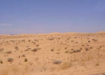 ‘Pollero’ es sentenciado tras abandonar a joven en Agua Prieta