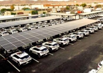 Gana Hermosillo el Desafío de Ciudades de WWF 2024
