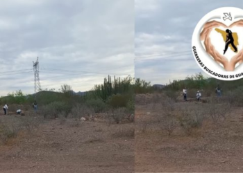 Guerreras Buscadoras localizan fosas clandestinas