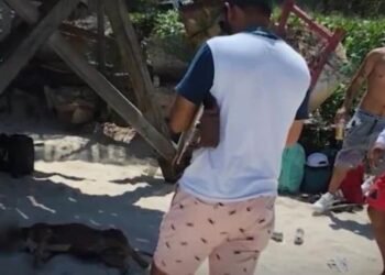 Hombre ahoga a un perro en Playa del Carmen; inician búsqueda