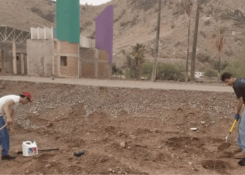 ‘Parque Hundido’ de la Sauceda será convertido en un bosque