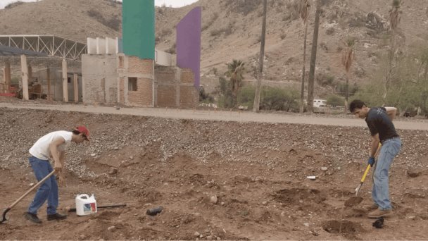 ‘Parque Hundido’ de la Sauceda será convertido en un bosque ‘Parque Hundido’ de la Sauceda será convertido en un bosque