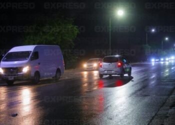 Lluvia en Hermosillo deja 6 árboles caídos