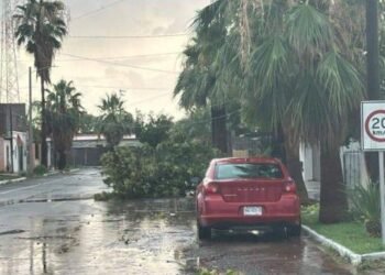 Lluvias en Santa Ana dañan 19 viviendas: CEPC
