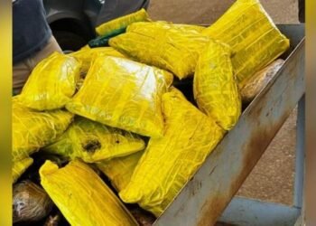 aseguran más de 100 libras en drogas en la frontera