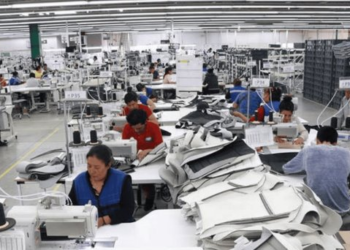 Otorga Gobierno Federal apoyos fiscales a los trabajadores