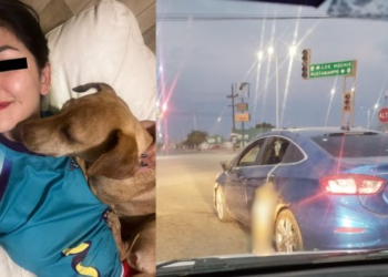 intentan capturar a Marcela Trinidad por crueldad