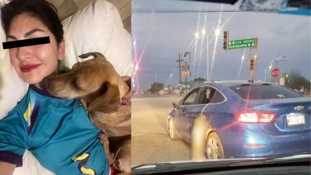 intentan capturar a Marcela Trinidad por crueldad intentan capturar a Marcela Trinidad por crueldad