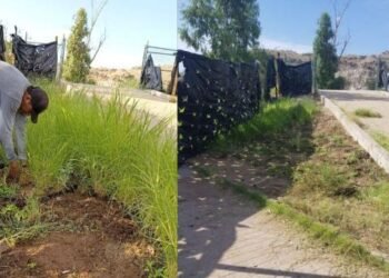Rehabilitación de La Sauceda; continúan trabajos de limpieza